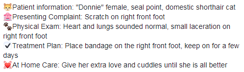 Pioneer Veterinary Clinic's treatment plan for "Donnie"